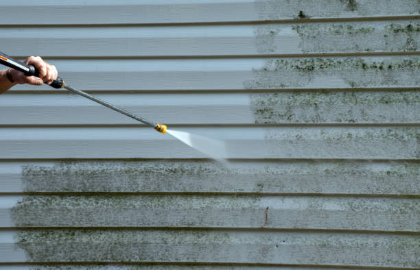 Best Driveway Pressure Washing  in Mineola, NY